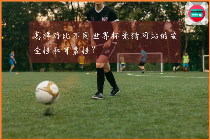 怎样对比不同世界杯竞猜网站的安全性和可靠性？